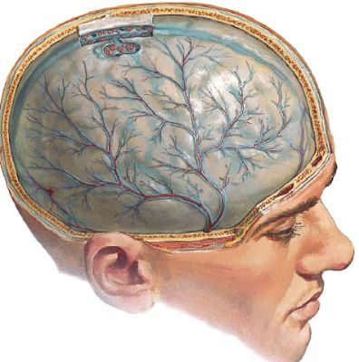 Почему каждый день болит голова и слабость
