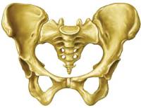 Кости болят с ног до головы