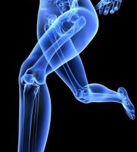 Кости болят с ног до головы